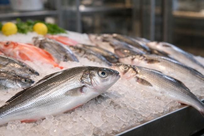 Pekuncen: Rasa Ikan Segar yang Menghampiri Setiap Kedatangan